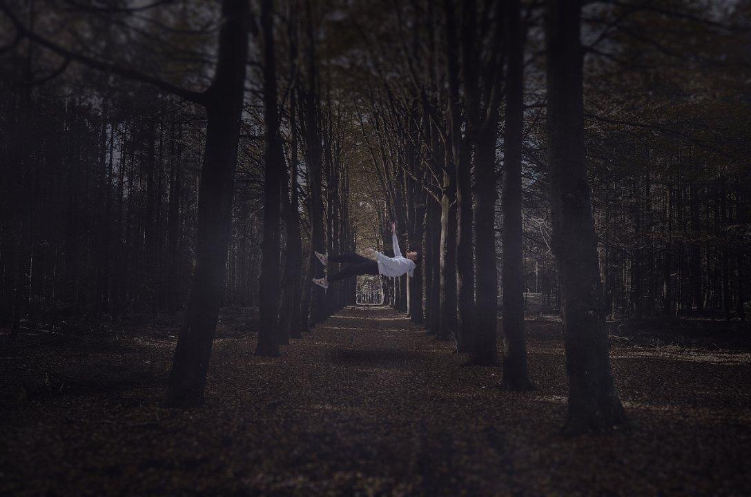 月季花有什么用途-领先的知识星球平台